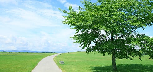 環境理念・方針